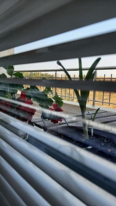 פלובדיב Rowing Base Apartment מראה חיצוני תמונה