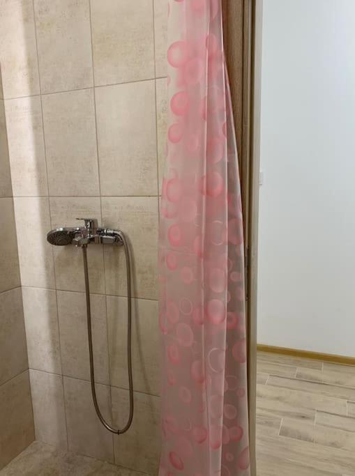 פלובדיב Rowing Base Apartment מראה חיצוני תמונה