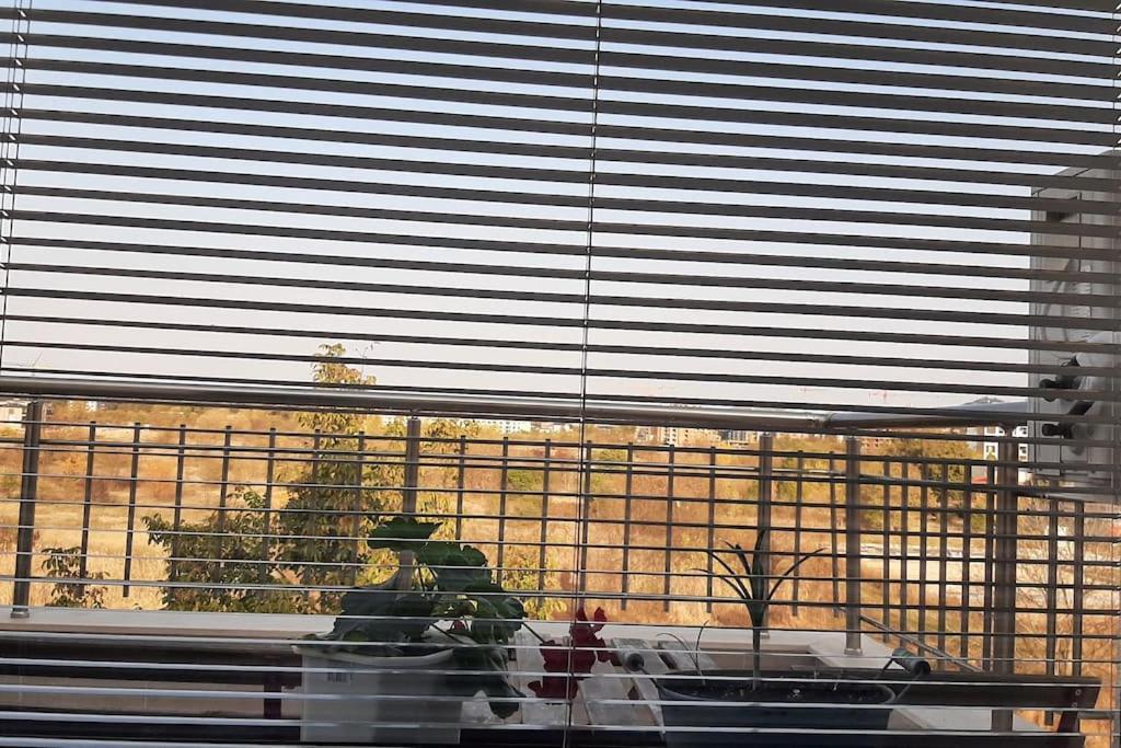 פלובדיב Rowing Base Apartment מראה חיצוני תמונה